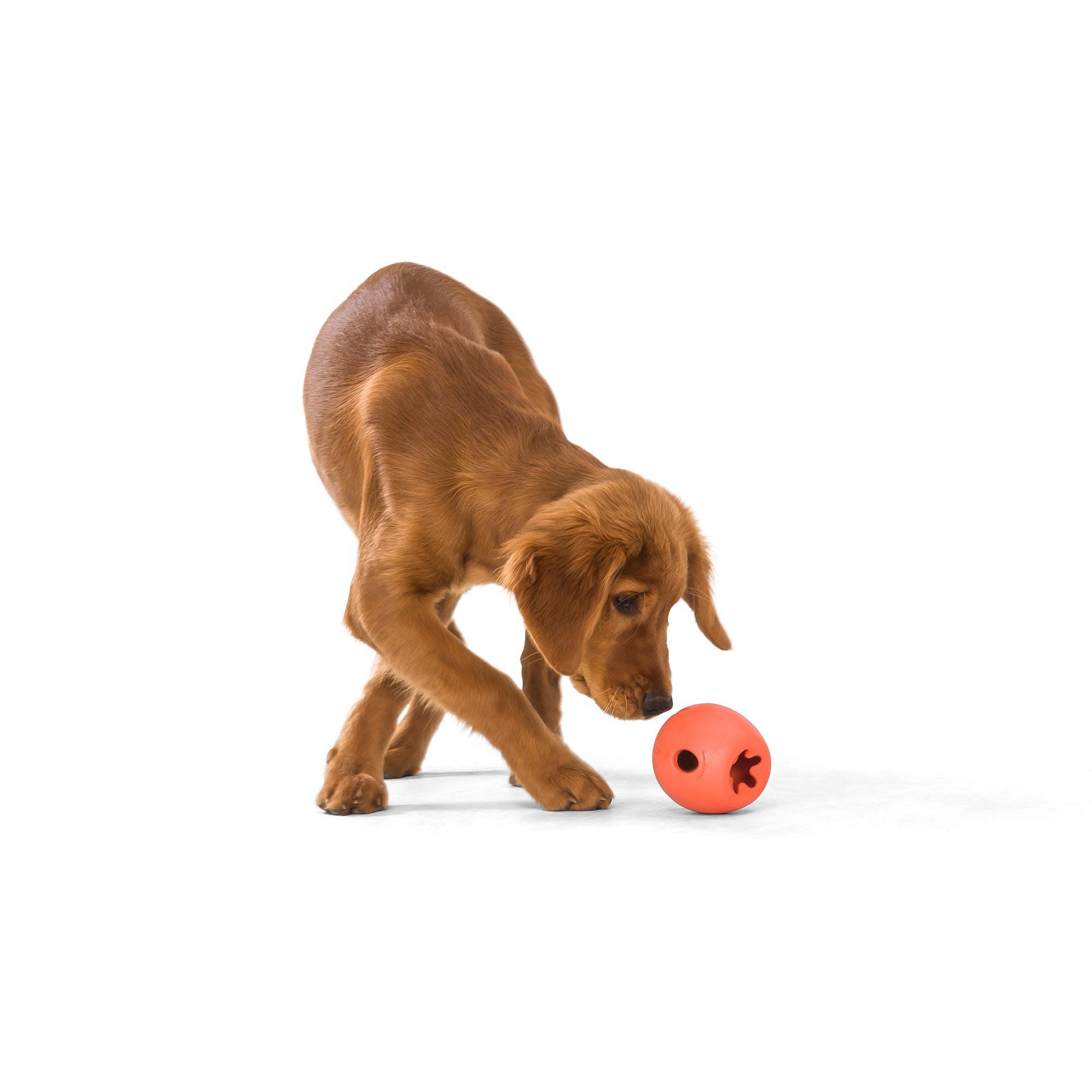 Rumbl The Final Fetch